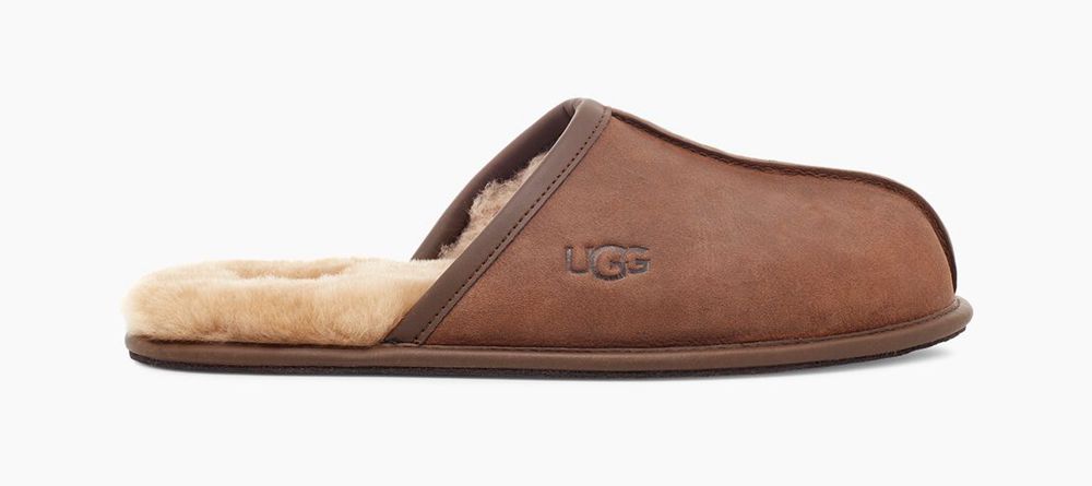 Ugg Scuff Slip-On - Mens Slippers - Brown - NZ (1574QLORV)